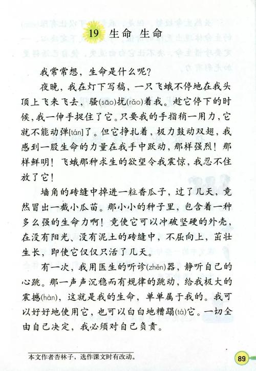 杏林子诗歌有何深意？-图2