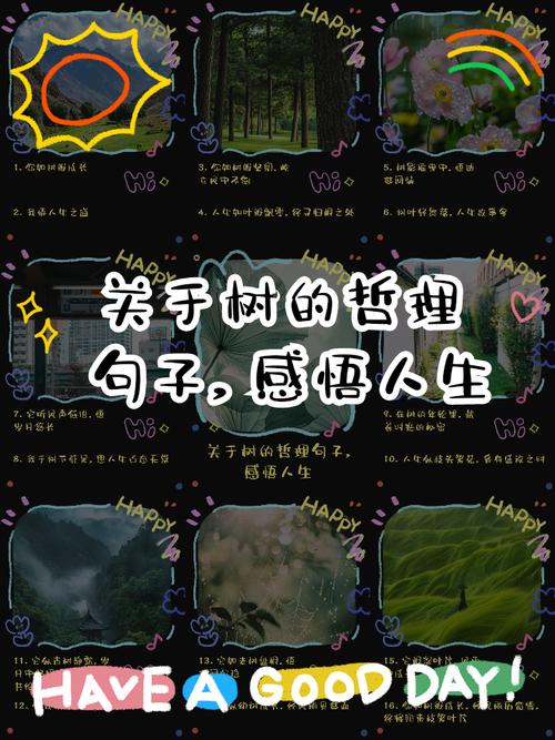 含树的名言-图2 含树的名言-图2