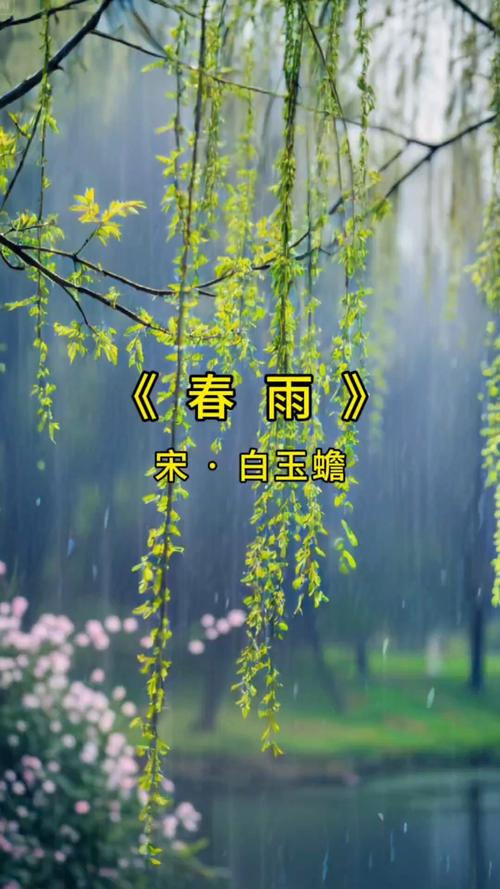 诗歌春天的雨-图2