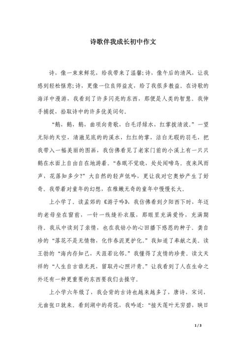 诗歌伴我行的作文-图2