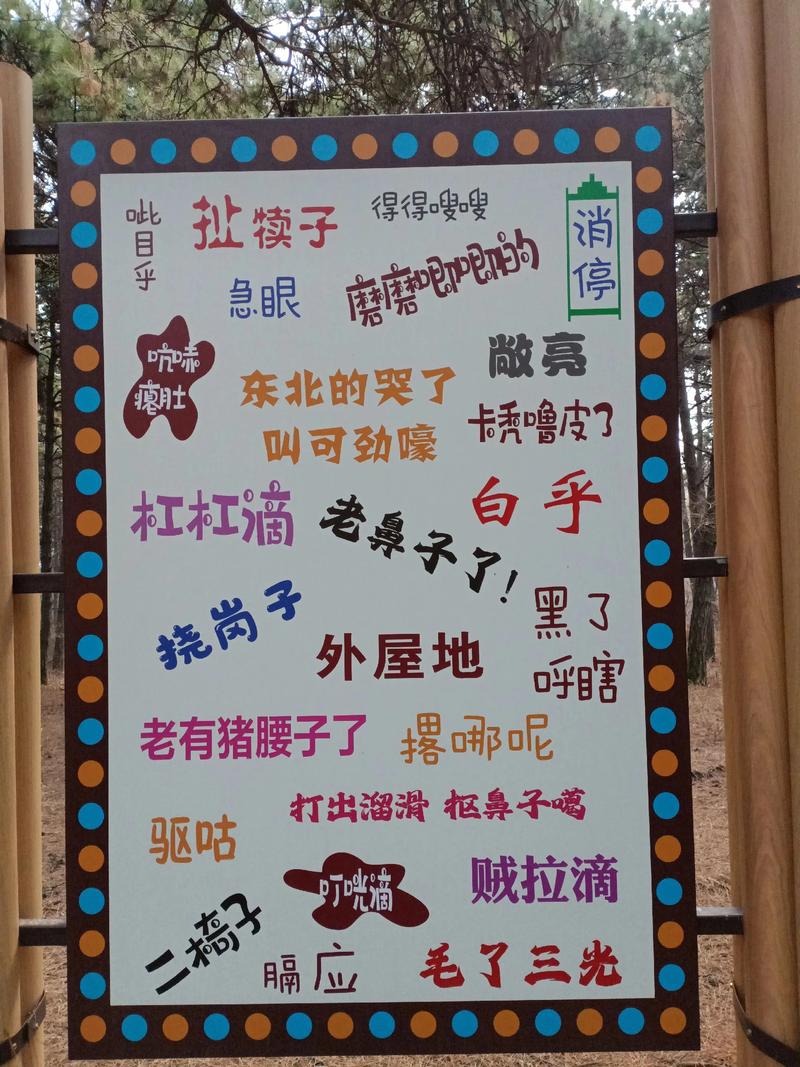 东北名言咋这么多？-图2