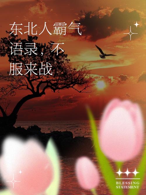 东北名言咋这么多？-图1