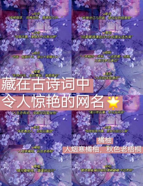 好听的诗歌网名有哪些？-图2