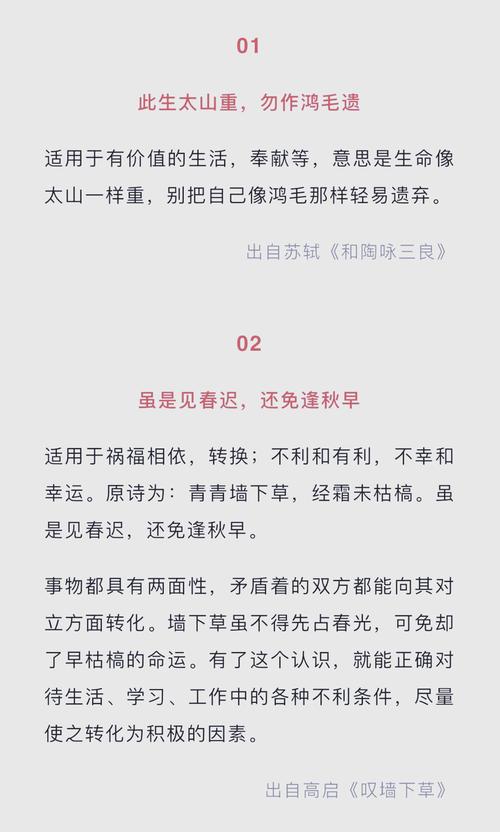 唐代诗歌为何璀璨？-图3