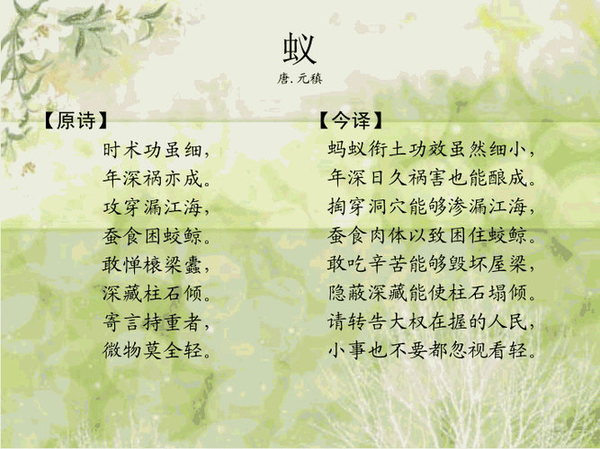 蚂蚁的诗里,藏着什么秘密?-图2 蚂蚁的诗里,藏着什么秘密?-图2