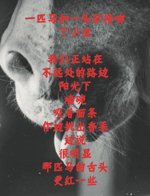 舌尖藏诗韵?-图2 舌尖藏诗韵?-图2