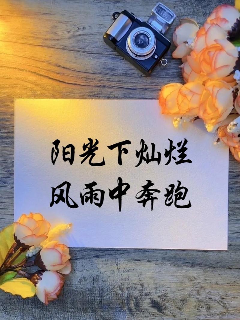 阳光总在风雨后名言-图1