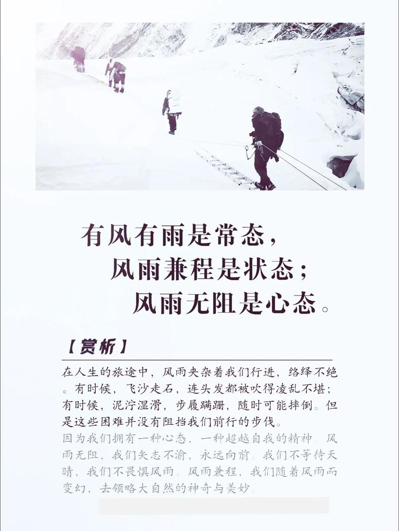 阳光总在风雨后名言-图2