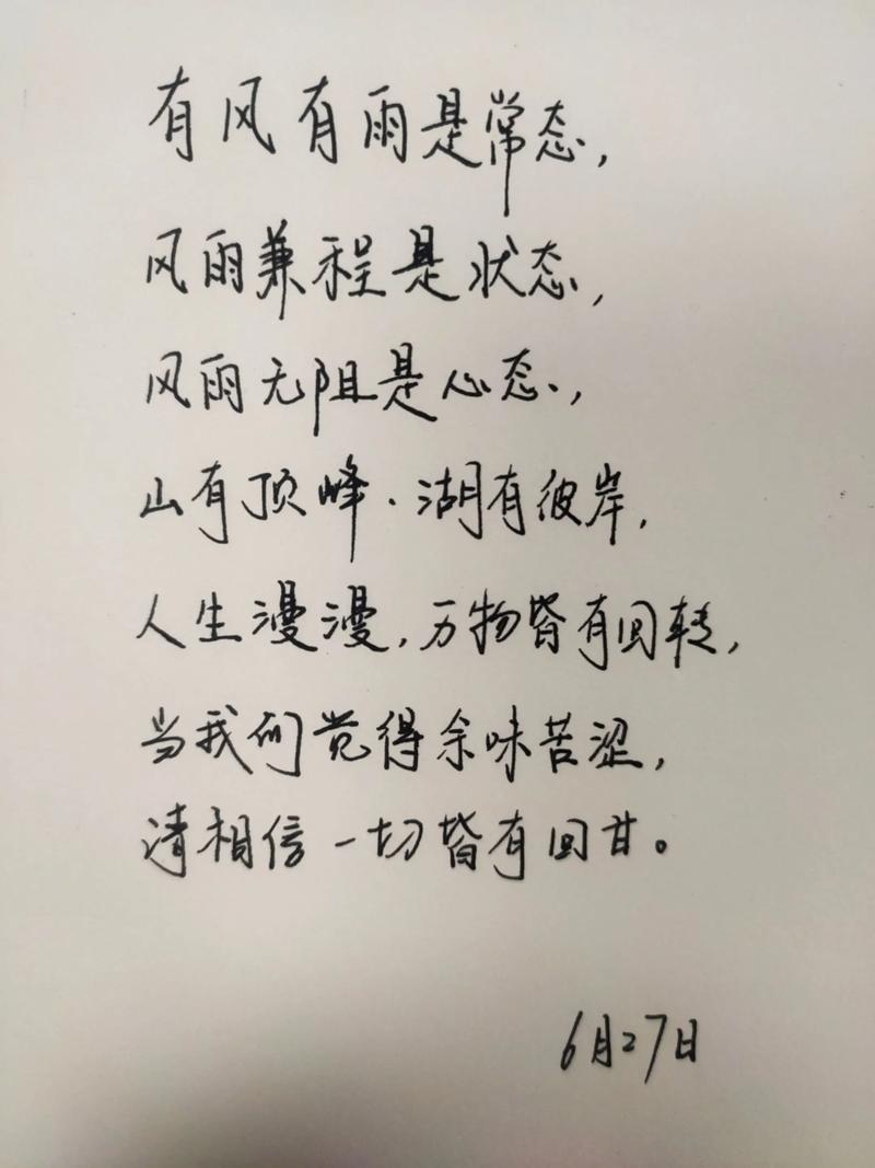 阳光总在风雨后名言-图3