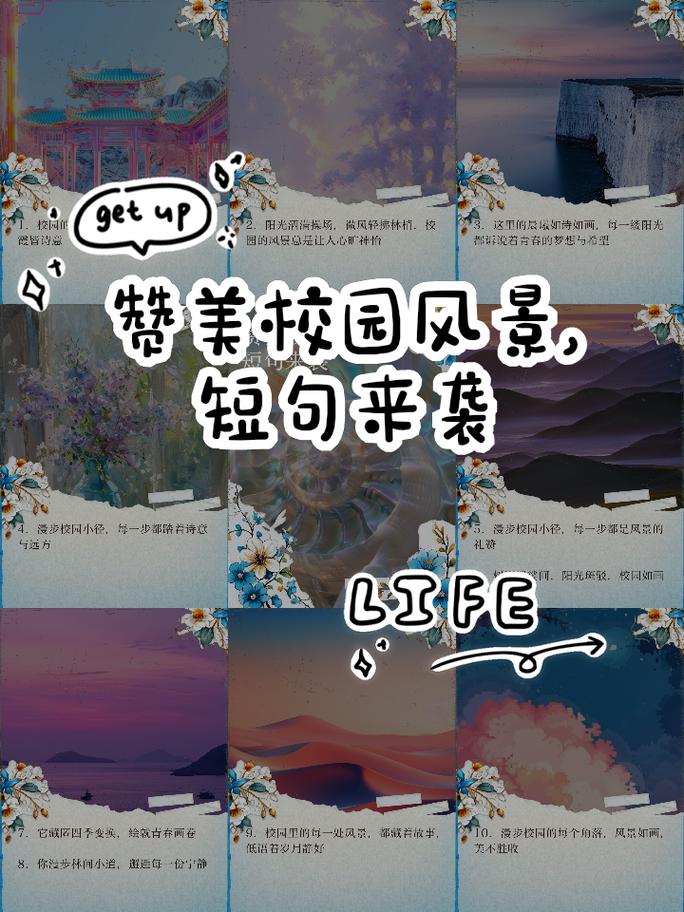 校园诗歌，如何绽放青春光芒？-图3