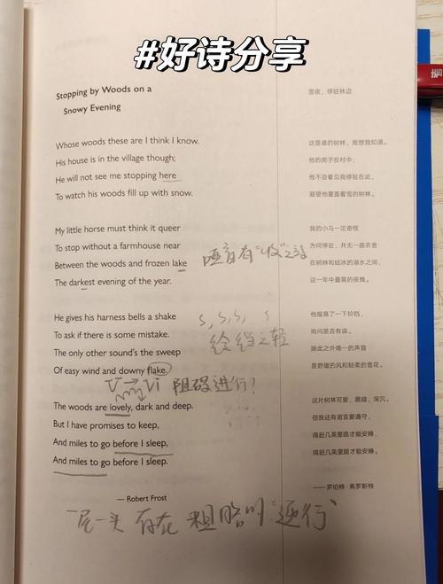 外文 诗歌-图2