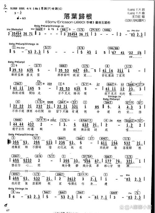 赞美诗歌落叶归根-图2