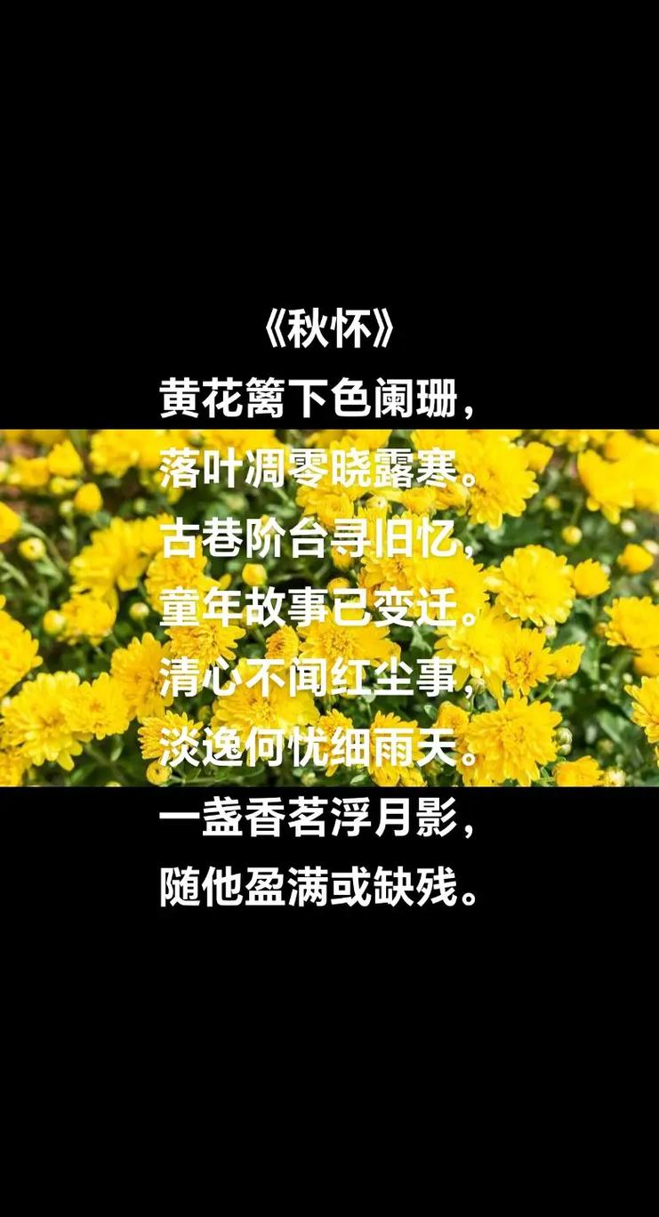 赞美诗歌落叶归根-图3