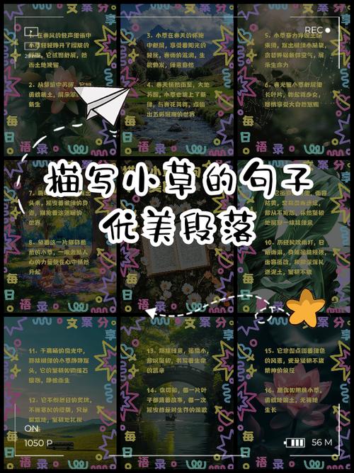 植物名言，藏着哪些生命智慧？-图1