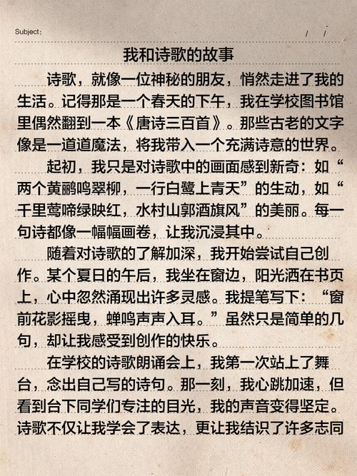 我与诗歌的作文-图2
