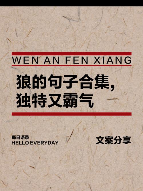 狼的名言，藏着什么人生智慧？-图1