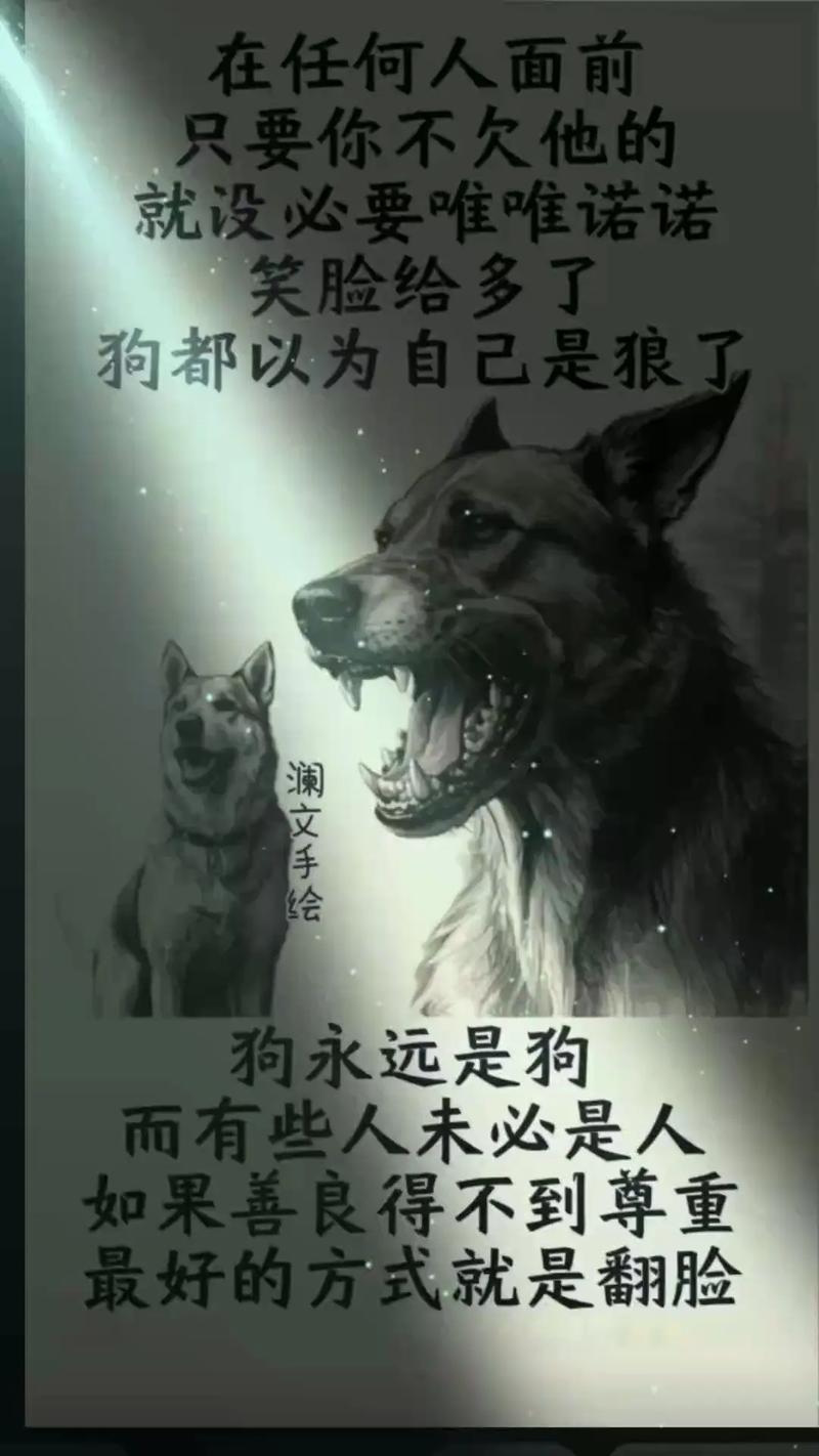 狼的名言，藏着什么人生智慧？-图2