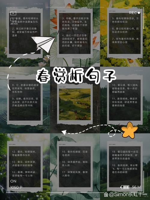 诗句赏析如何抓住诗眼？-图2