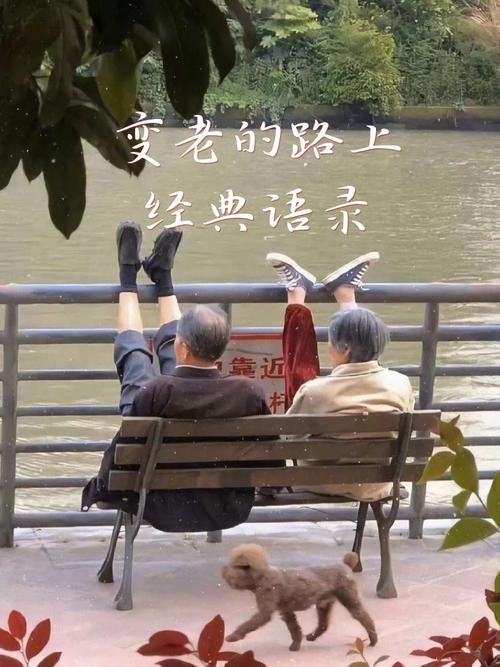 老去，是福是祸？-图2