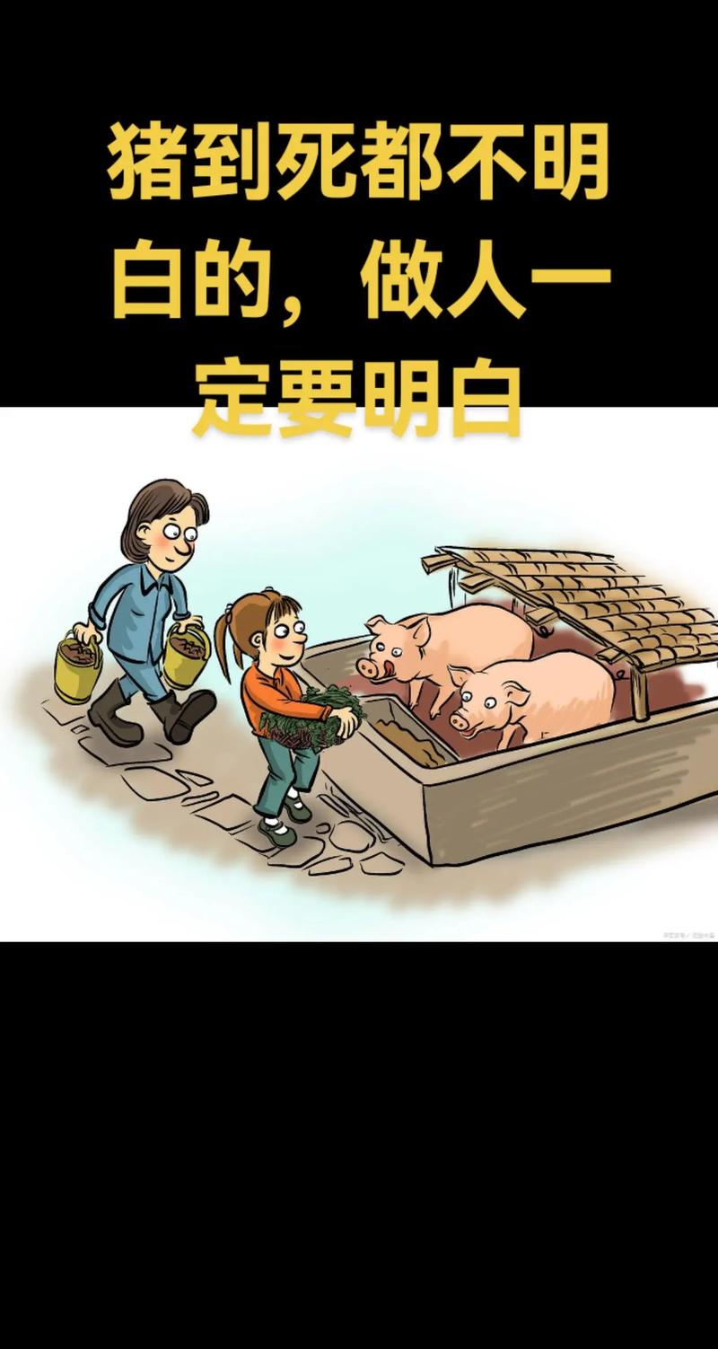 杀猪名言有何深意？-图1