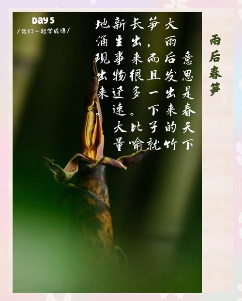 春笋诗中藏何意？-图1
