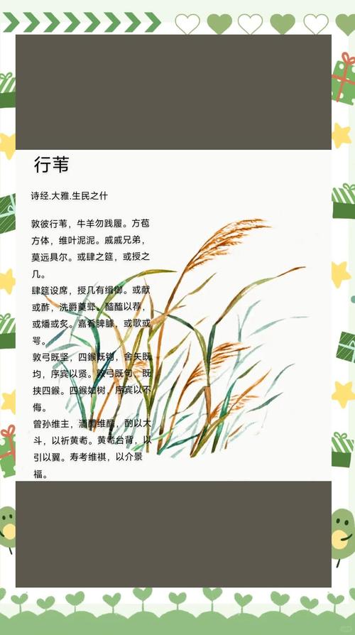 芦苇诗中藏着什么?-图1 芦苇诗中藏着什么?-图1