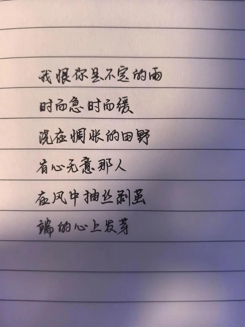 简短诗歌何以打动人心?-图2 简短诗歌何以打动人心?-图2