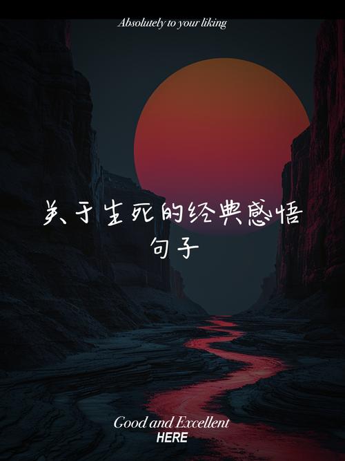 生死感悟名言，何为真谛？-图1