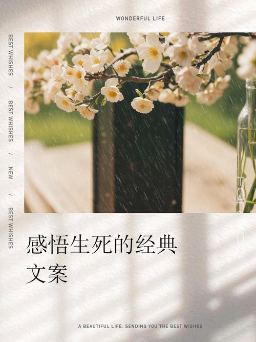 生死感悟名言，何为真谛？-图2