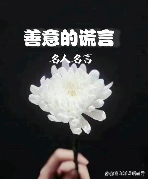 善意的谎言有哪些名言-图2