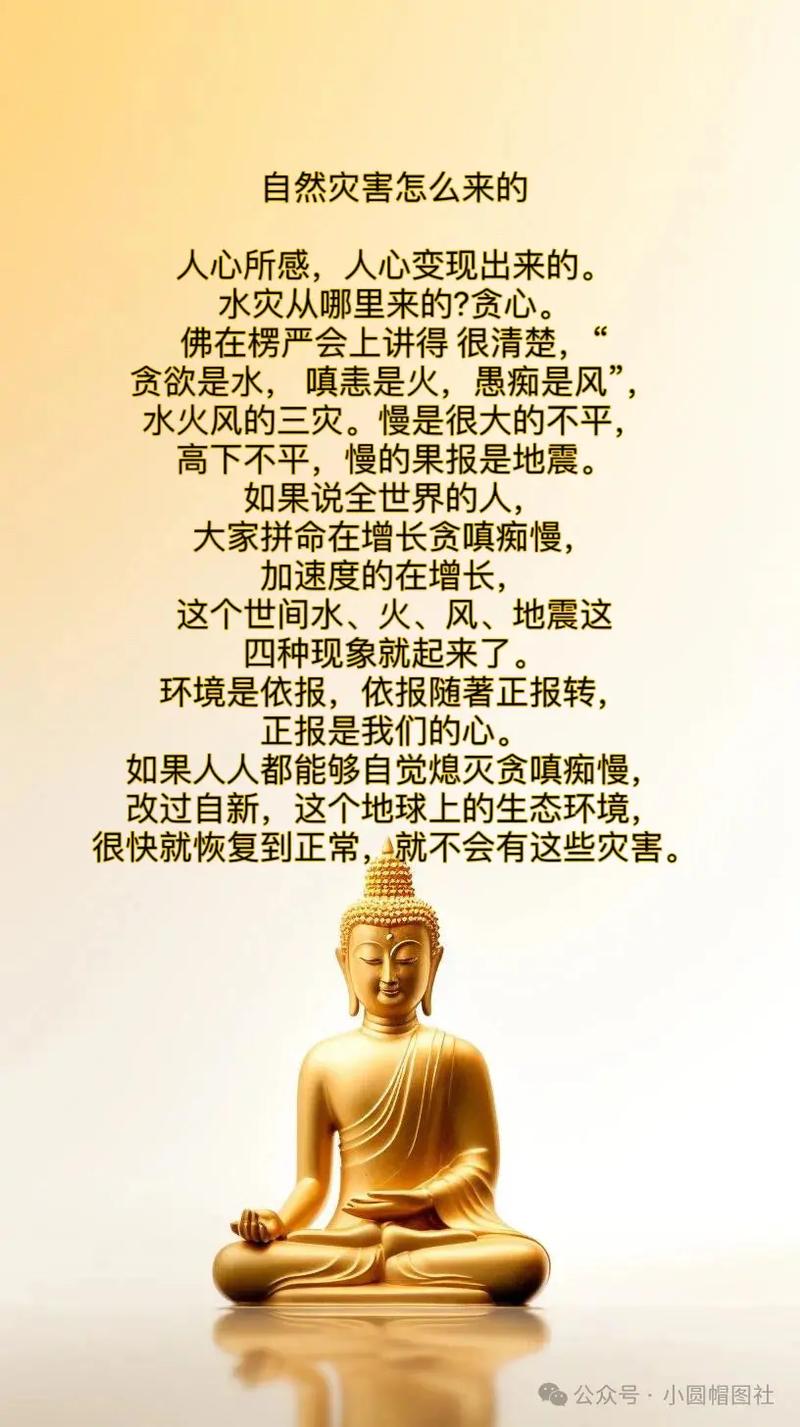 灾难面前，名言有何力量？-图1