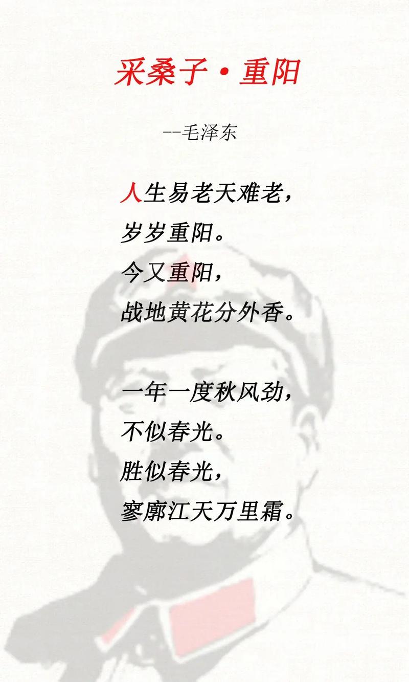 诗歌老了,谁来续写新篇?-图1 诗歌老了,谁来续写新篇?-图1