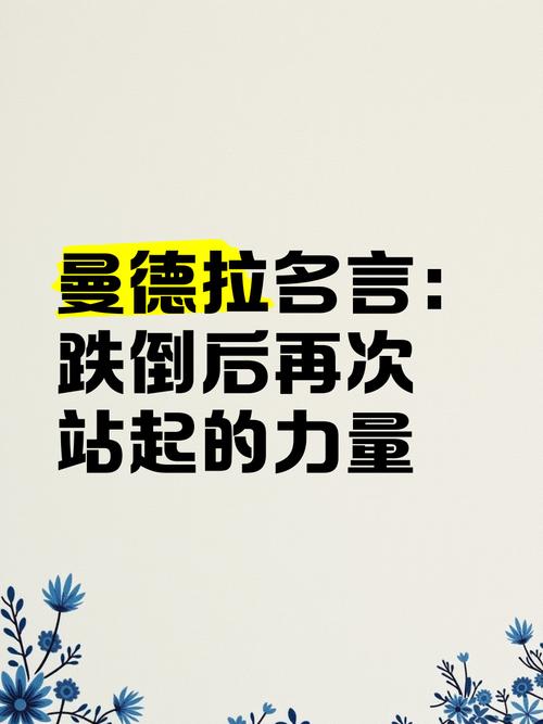 曼德拉传名言-图1