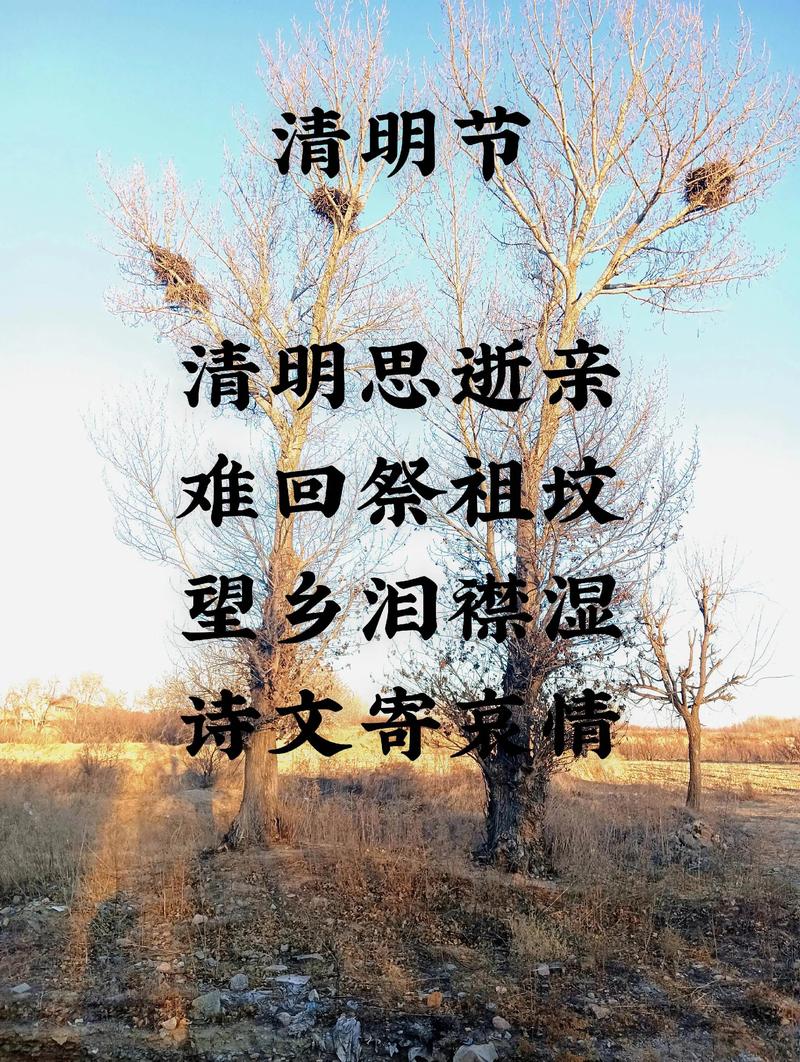 清明忆诗歌，何物最牵魂？-图1