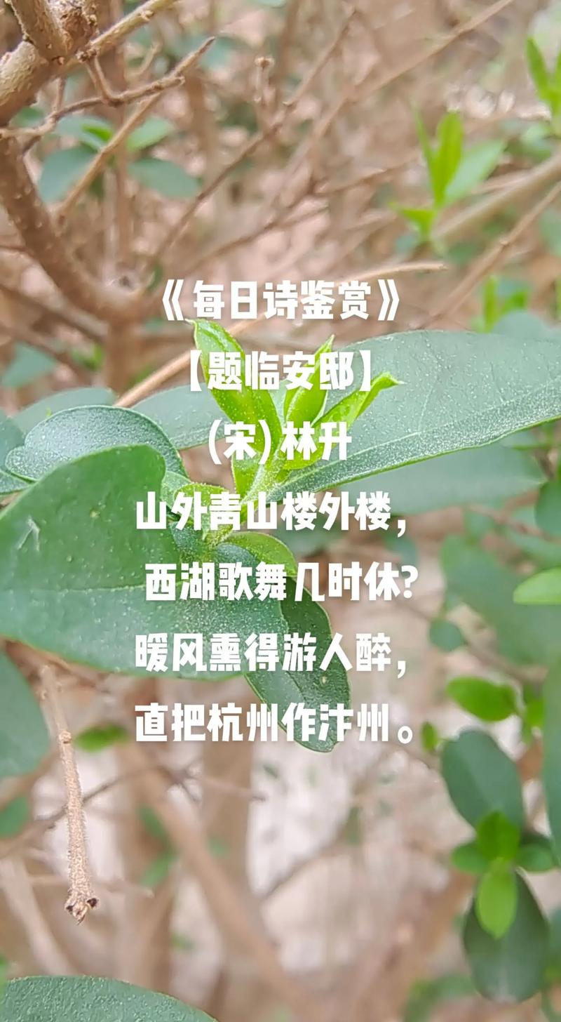 带休的诗歌，休字何意？-图3