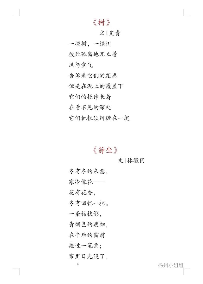 现代诗歌如何分类？-图2