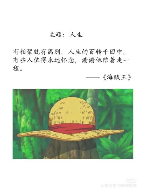 海贼王名言藏着啥人生密码？-图2