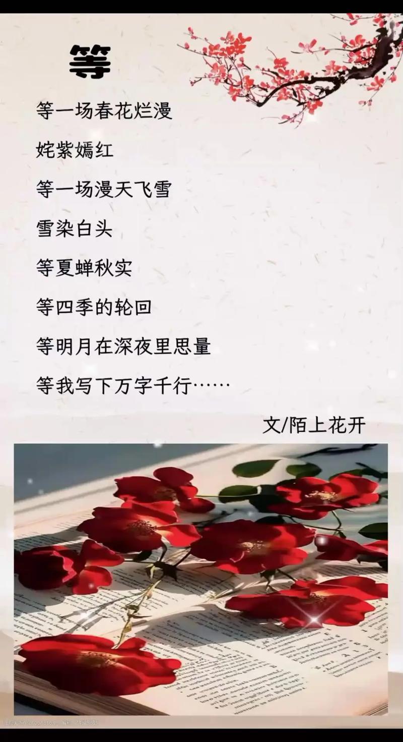 等诗中藏着怎样的时光？-图1