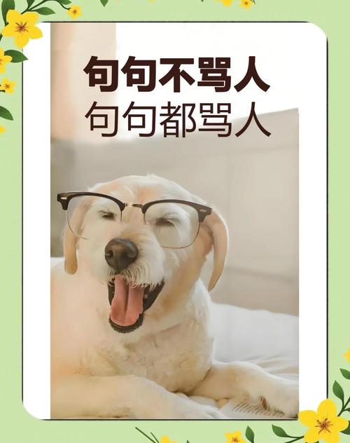 搞笑名言哪里找?-图1 搞笑名言哪里找?-图1