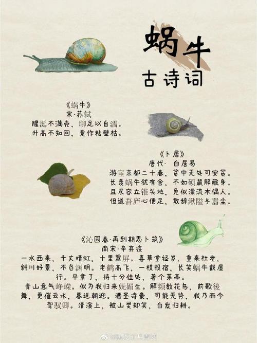 小蜗牛的诗歌藏着什么?-图2 小蜗牛的诗歌藏着什么?-图2