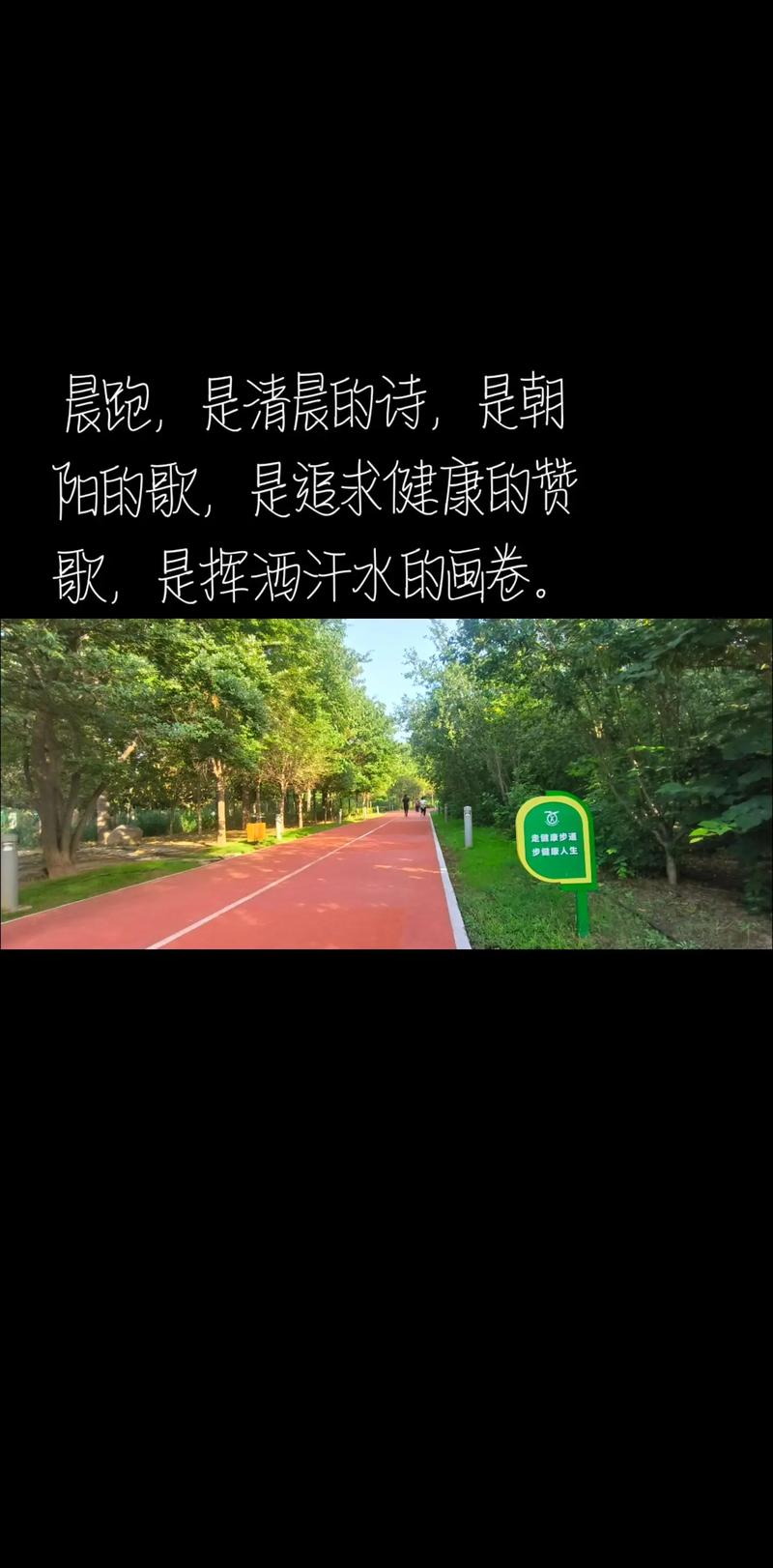 朝阳的诗歌有何独特魅力？-图2