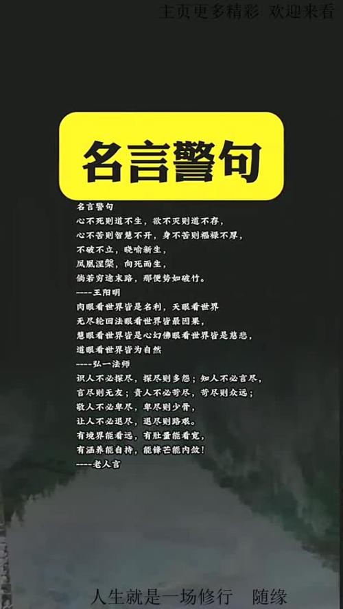 信息名言有何智慧？-图3