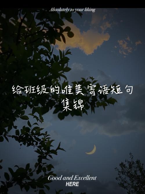 班级名言警句，育人智慧何在？-图3