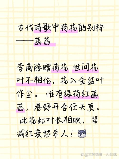 菡萏诗歌，诗意何在？-图1