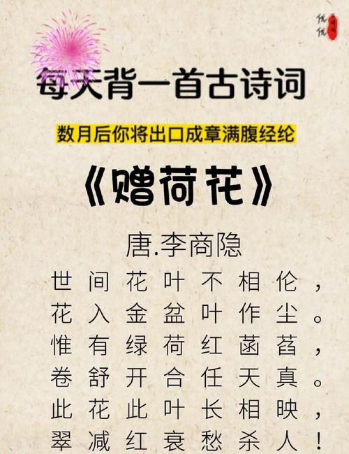 菡萏诗歌，诗意何在？-图2