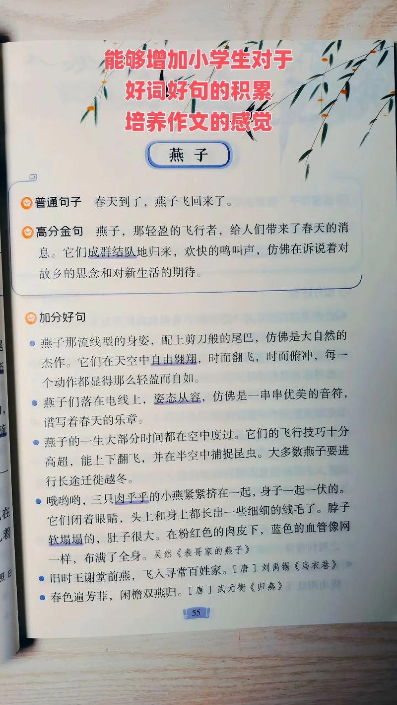 小学生该朗诵哪些诗歌？-图3