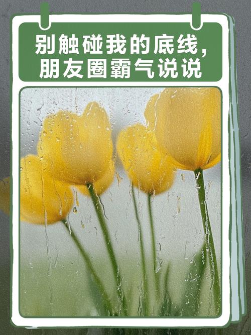 触碰底线名言,有何警示意义?-图2 触碰底线名言,有何警示意义?-图2