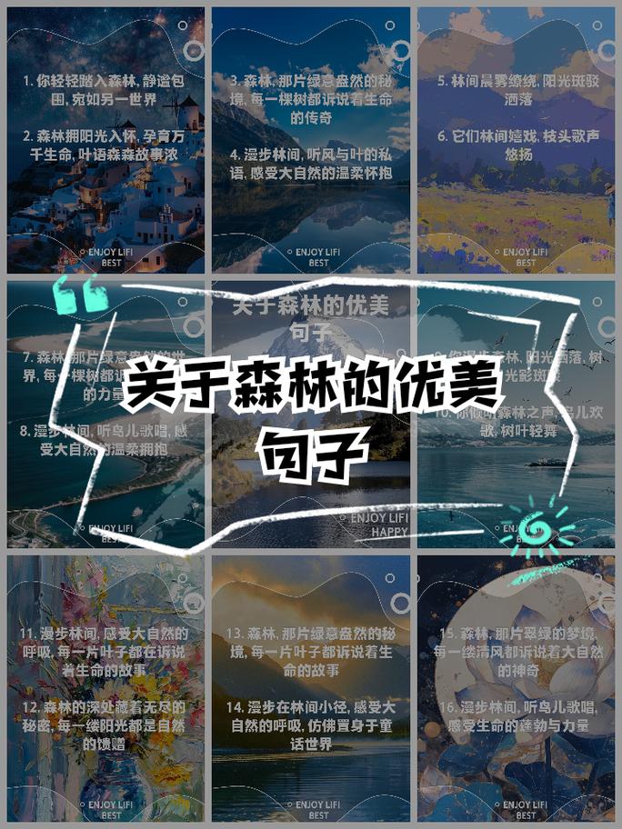 森林名言藏着怎样的自然智慧？-图1