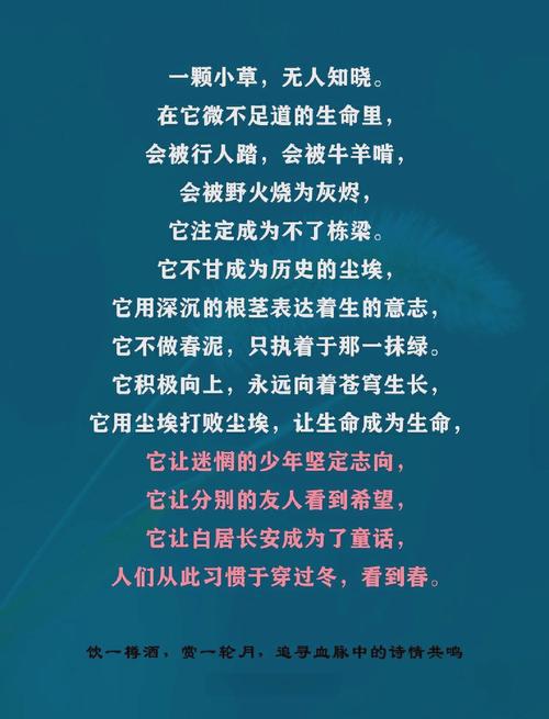 坚强诗歌，何为坚强真意？-图3