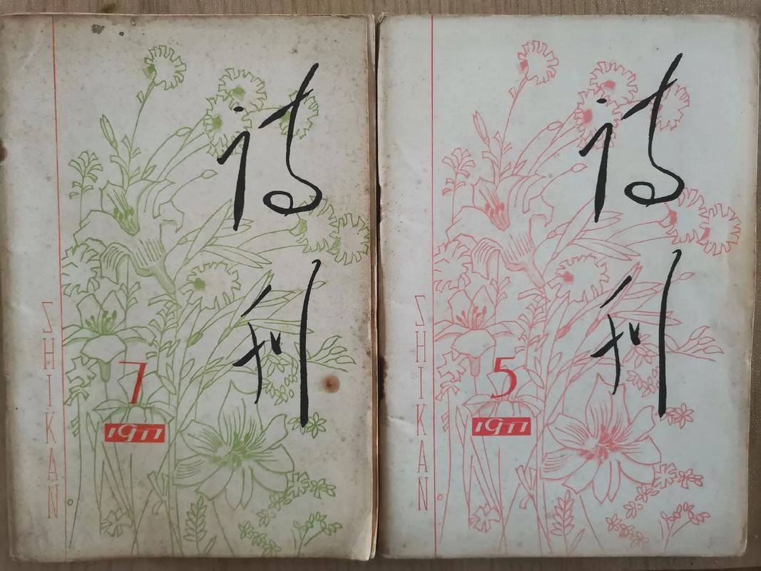 发表诗歌的杂志-图2